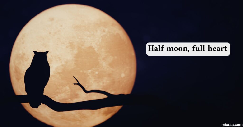 Half Moon Captions for Instagram